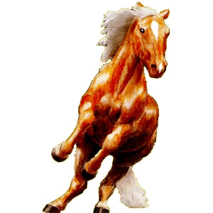 Pegaso de montar Criollo argentino Bayo
