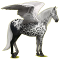 Pegaso de montar Bayo
