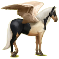 Pegaso de montar Pura raza española Bayo tostado