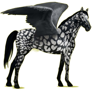 Pegaso de montar Pura sangre Gris ratón