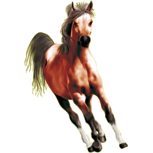 Pegaso de montar Pura sangre Bayo