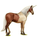 Unicornio de montar Pura raza española Bayo tostado