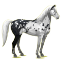 Caballo de montar Roano