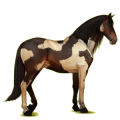 Pegaso de montar Pura raza española Bayo