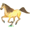 Pegaso de montar Mustang Roano