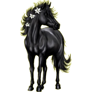 Caballo de montar Mustang Negro