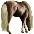 Poni Chilote Gris claro