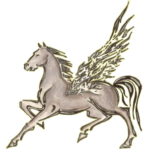 Pegaso de montar Morgan Negro