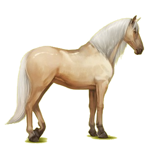 Caballo de montar Pura raza española Gris tordo