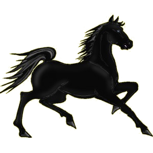 Pegaso de montar Pura sangre Negro