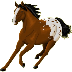 Pegaso Pinto Pío Tobiano Gris tordo
