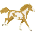 Caballo de montar Pinto Pío Tobiano Palomino