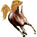 Caballo de montar Árabe Roano