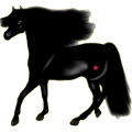 Caballo de montar Pura raza española Negro
