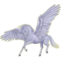 Pegaso de montar Pura raza española Gris claro
