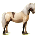 Poni Chilote Roano