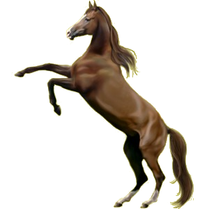 Caballo de montar Pura raza española Palomino