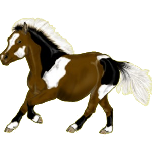 Poni Losino Negro