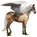 Pegaso de montar Pura raza española Gris tordo