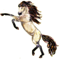 Caballo de montar Pura raza española Gris claro