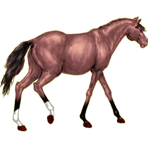 Poni Chilote Isabelo