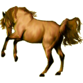 Pegaso de montar Hanoveriano Alazán