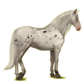 Caballo de montar Pura raza española Gris claro