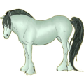Poni Chilote Gris tordo