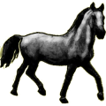 Caballo de montar Trotón francés Alazán tostado