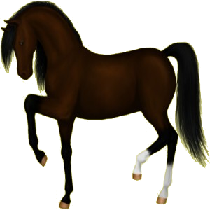 Caballo de montar Pinto Pío Tobiano Palomino