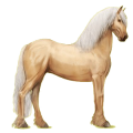 Caballo de montar Negro