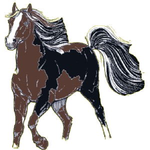 Caballo de montar Lusitano Bayo