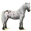 Poni Losino Negro