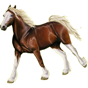 Poni Quarter Poni Gris tordo