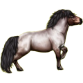 Poni Pegaso Quarter Poni Gris tordo