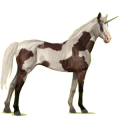 Unicornio de montar Bayo