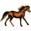 Poni Chilote Alazán