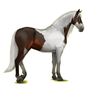 Caballo de montar Pura raza española Bayo