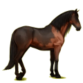 Caballo de montar Pura raza española Bayo cereza