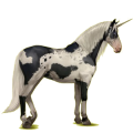 Unicornio de montar Pura raza española Bayo tostado