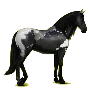 Caballo de montar Pura raza española Gris tordo