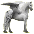 Pegaso de montar Frisón Negro