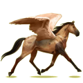 Pegaso de montar Trotón francés Bayo