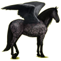 Pegaso de montar Pura raza española Negro