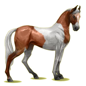 Caballo de montar Marwary Alazán