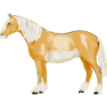 Caballo de montar Trotón francés Bayo