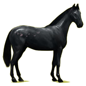 Caballo de montar Hanoveriano Alazán