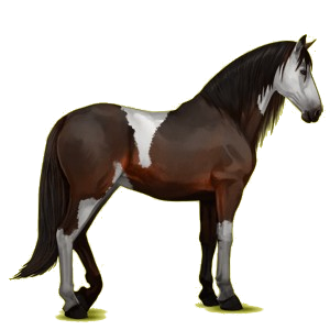 Caballo de montar Pura raza española Negro