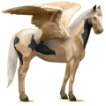 Pegaso de montar Pinto Pío Overo Bayo