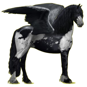 Pegaso de montar Frisón Negro